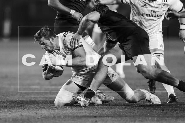 Cam Dolan: Q&A with a Great Eagle Export.