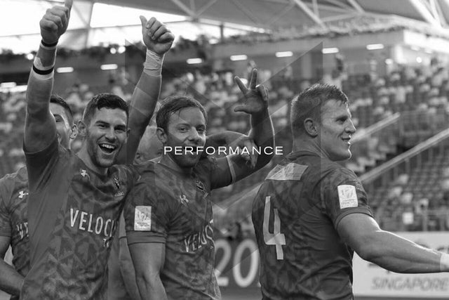 Team Dynamics & Group Process:  Performance