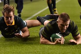 Ireland whip woeful Springboks
